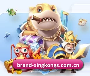 了解平台 - 体育资讯内容服务 - xingkong